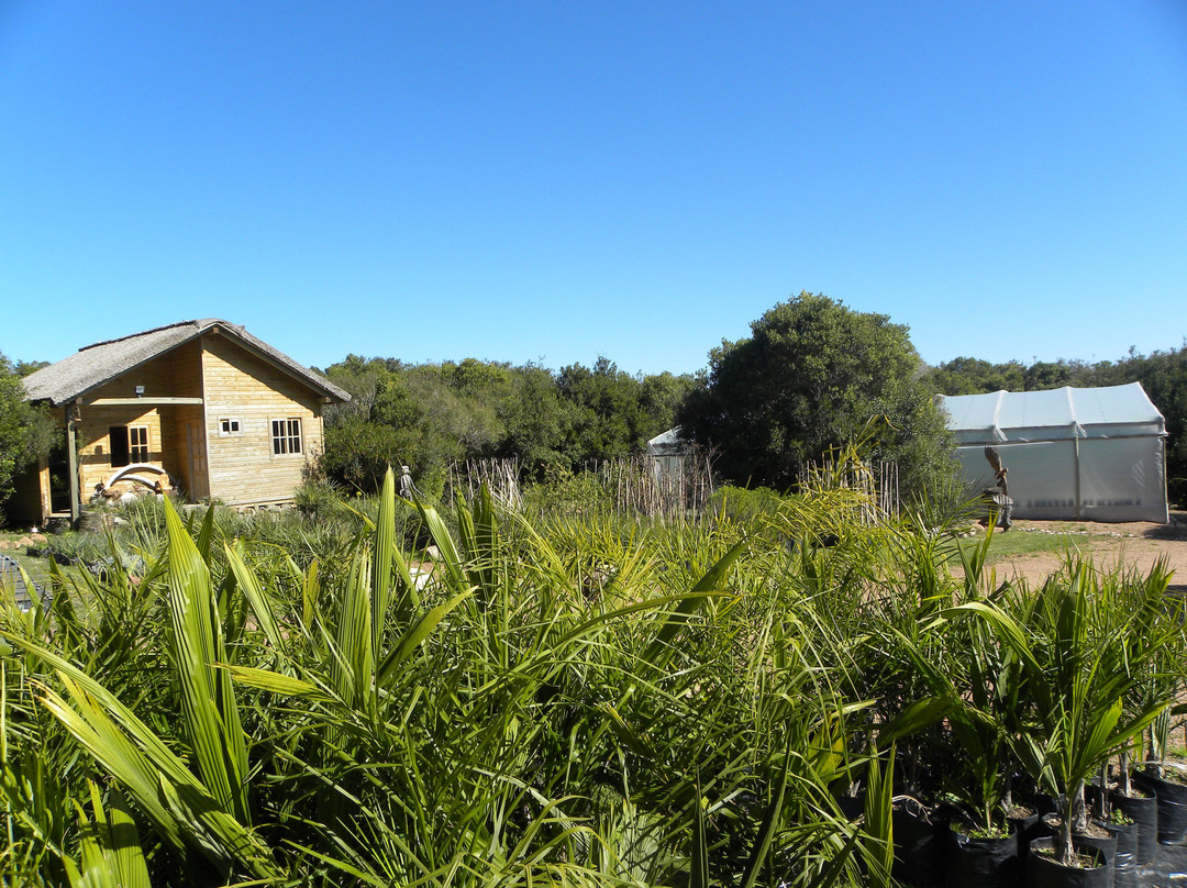 Indigena - Area Protegida de Flora y Fauna-Maldonado必去景点