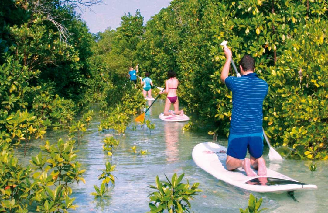 SURF Zanzibar-米查维必去景点
