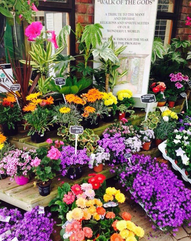 Whitlenge Garden, Tea Room and gift shop-Hartlebury必去景点