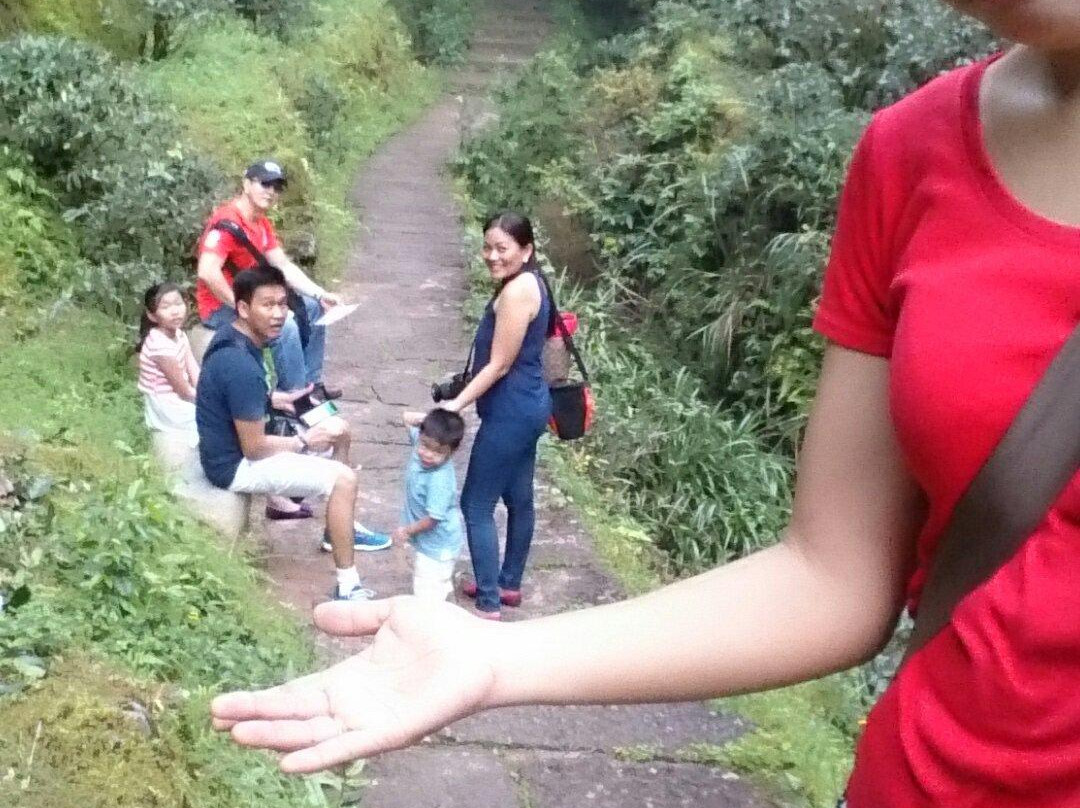 苏母公园-眉山市必去景点