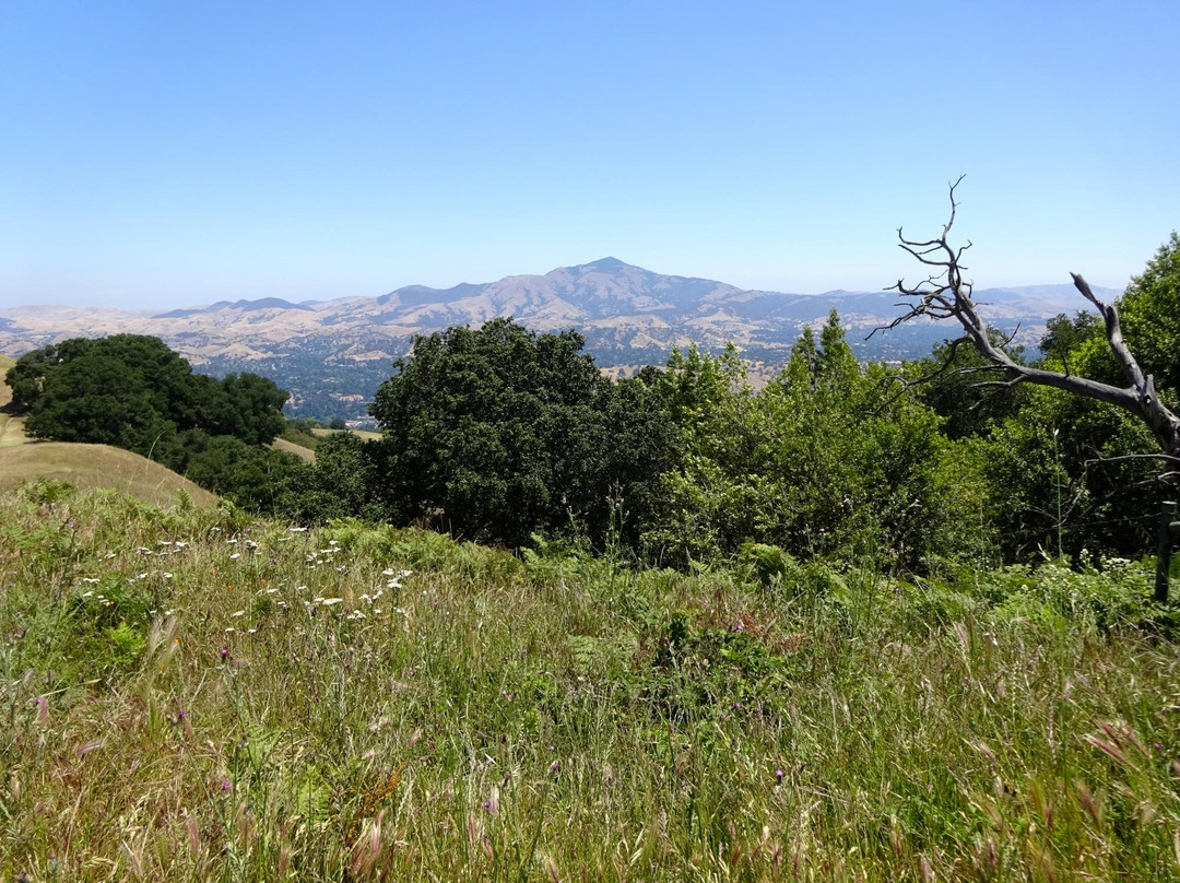 Las Trampas Regional Wilderness-圣拉蒙必去景点