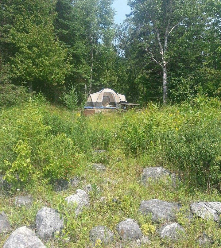 Hog Island Point State Forest Campground