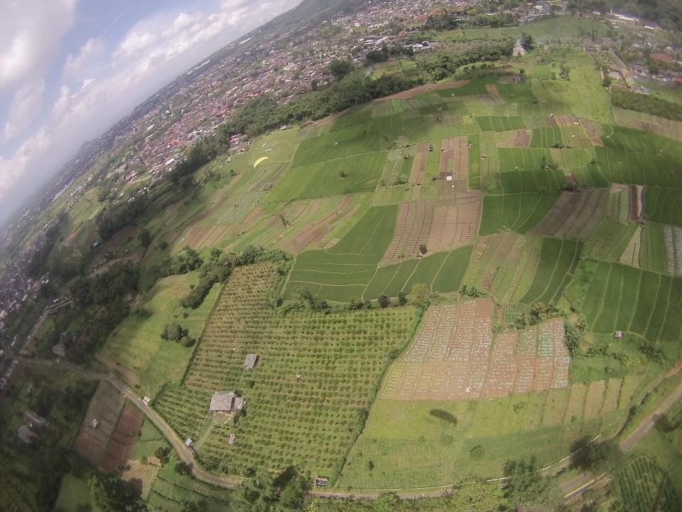 Ayokitakemon! Paragliding Tandem & Course景点图片