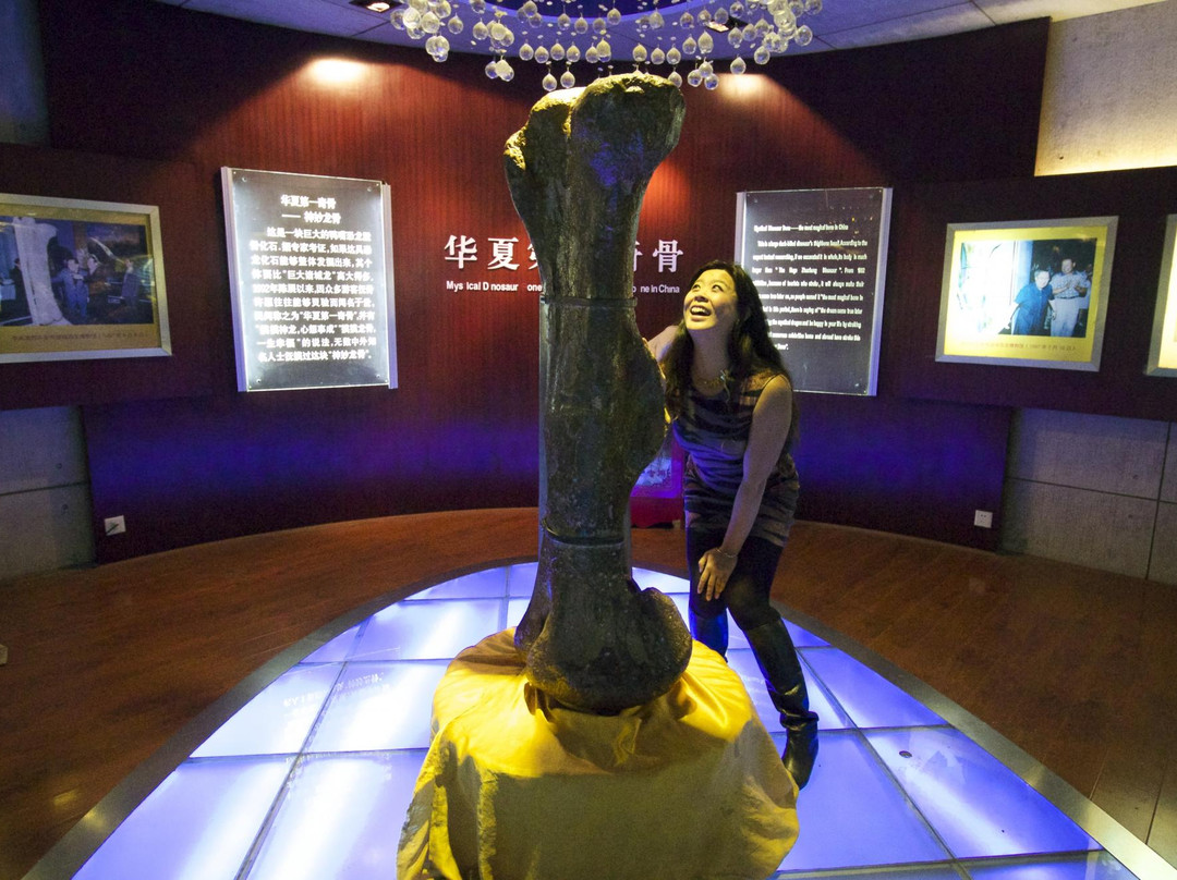 恐龙博物馆-诸城市必去景点