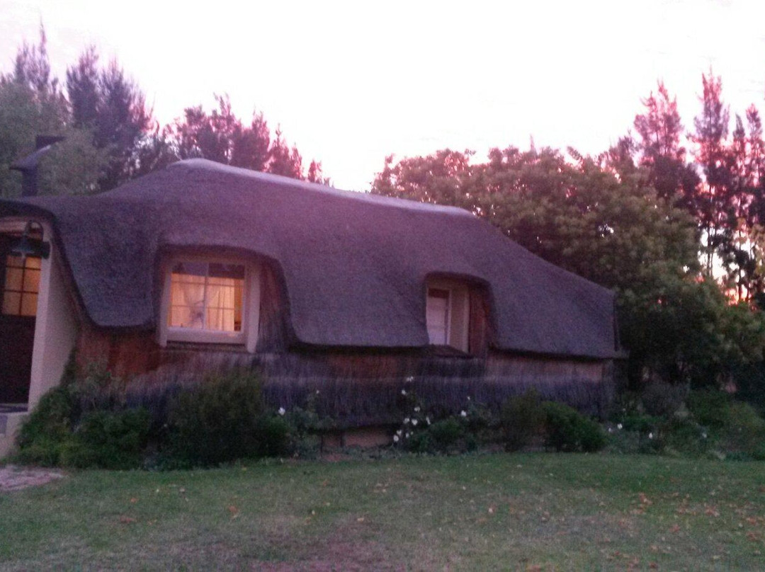 Reed's Country Lodge主图