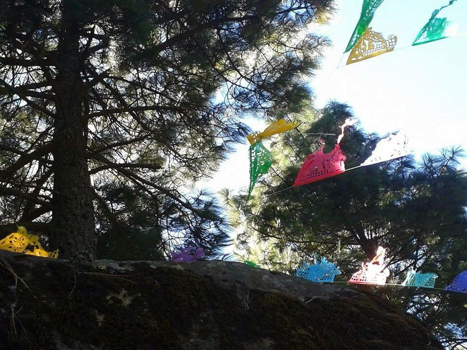 Parque Ejidal San Nicolas Totolapan-墨西哥城必去景点