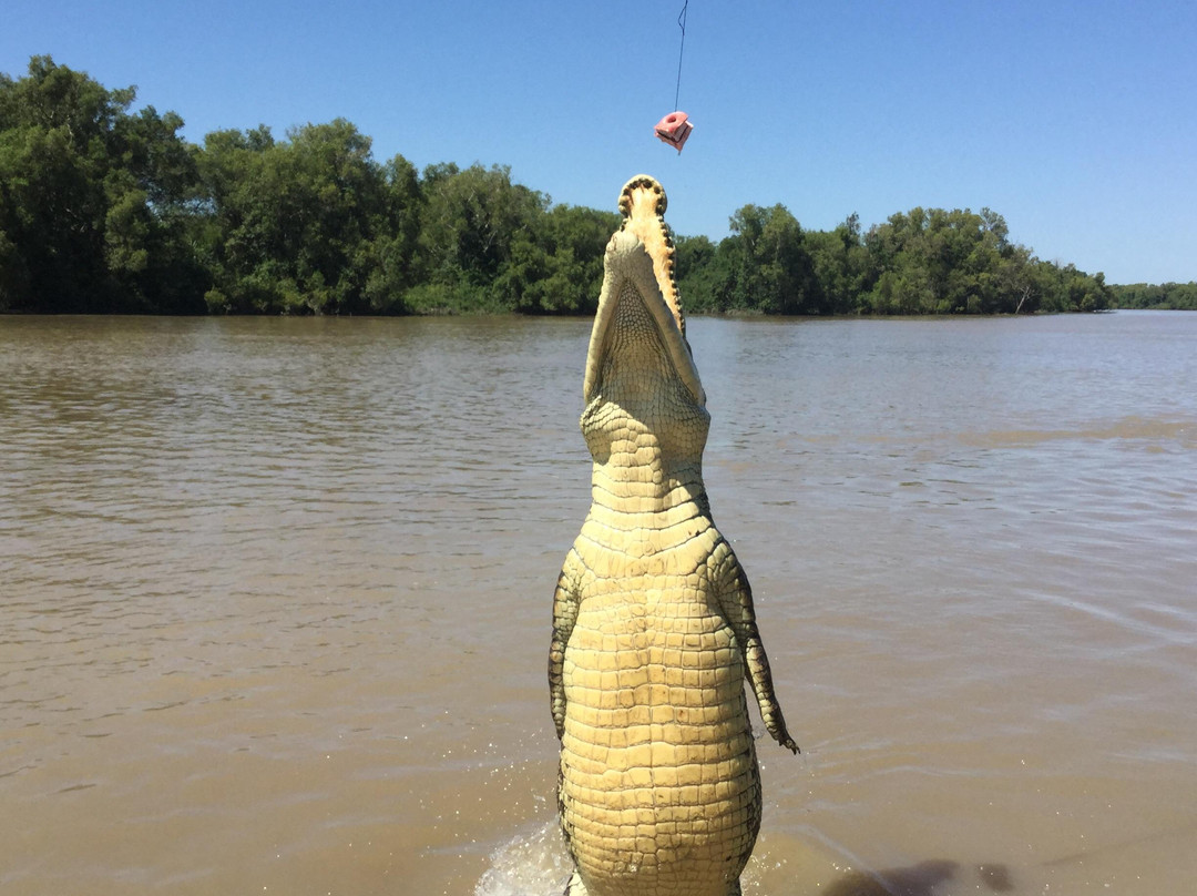 The Original Adelaide River Queen Jumping Crocodile Cruises-达尔文市必去景点