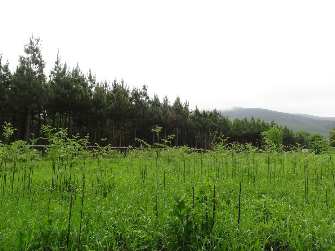 Castle Rock Trails-沙比必去景点
