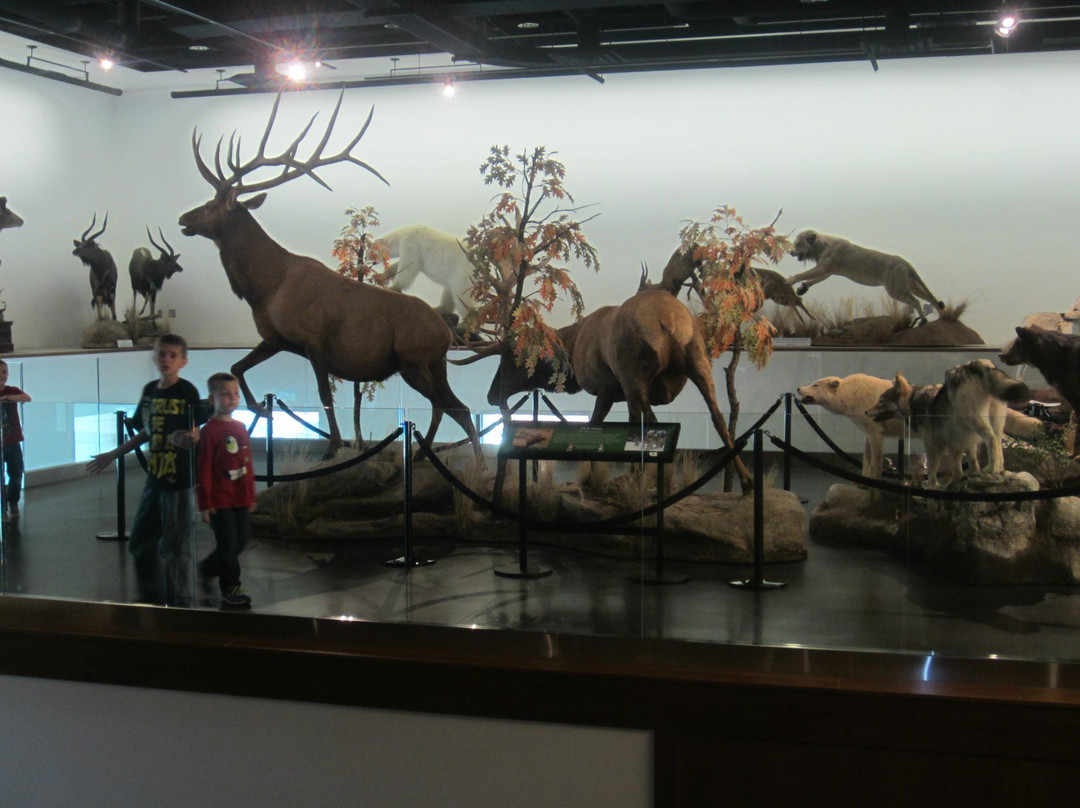 Monte L. Bean Life Science Museum-普若佛必去景点