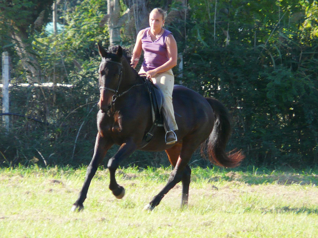 Hills and Trails-Murci必去景点
