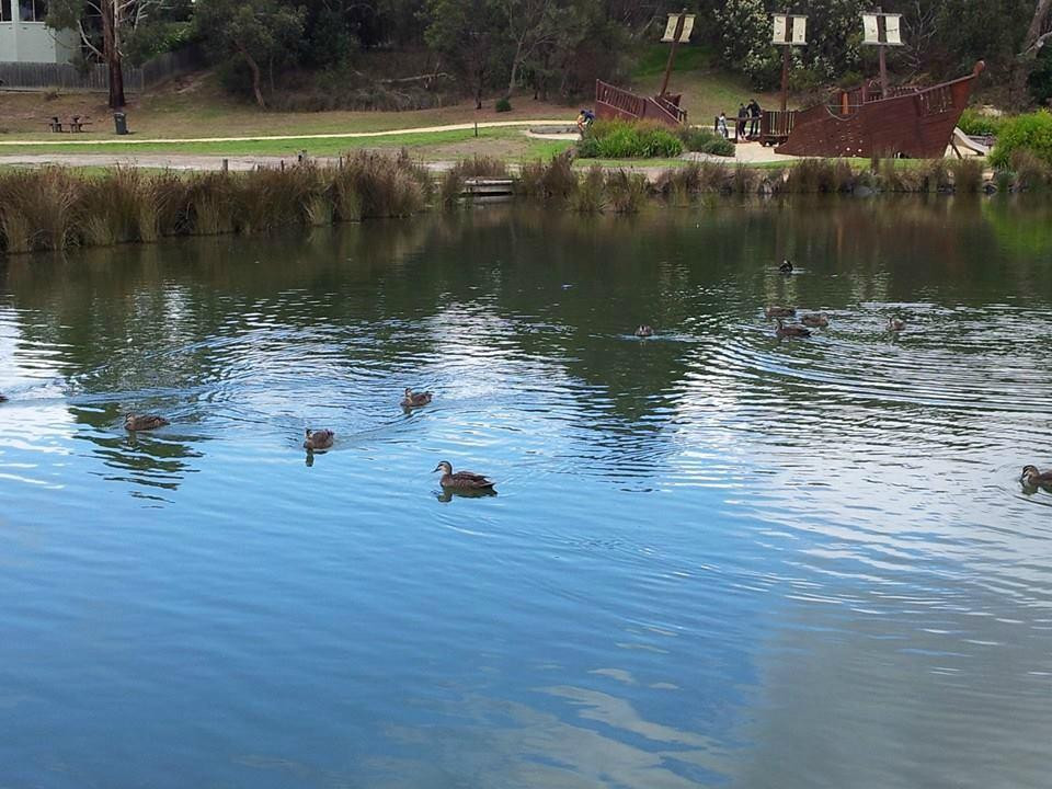 Coogoorah Park Nature Reserve-安格尔西岛必去景点