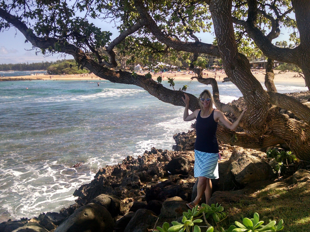 Turtle Bay Beach-卡胡库必去景点