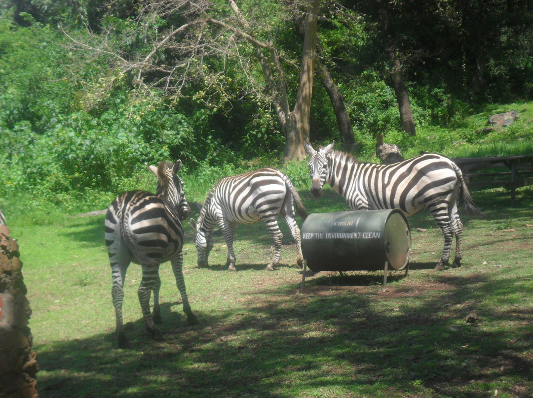 Good Samaritan Inn主图