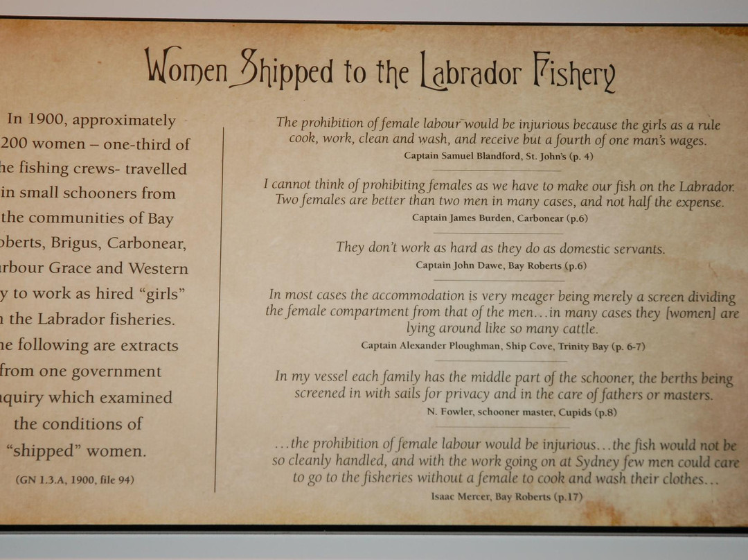 Mary March Provincial Museum-Grand Falls Windsor必去景点