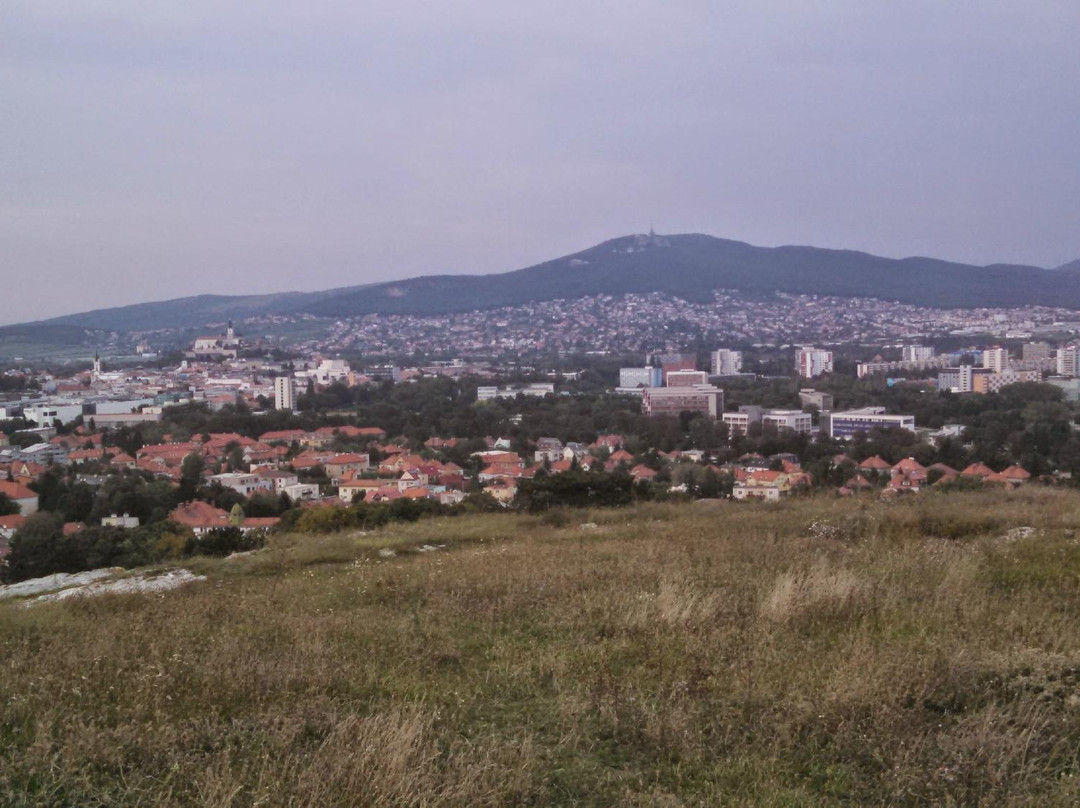Nitra Calvary景点图片