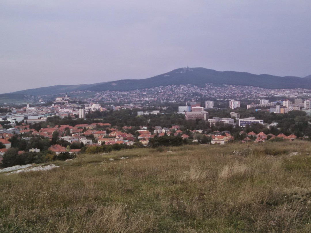 Nitra Calvary-Nitra必去景点