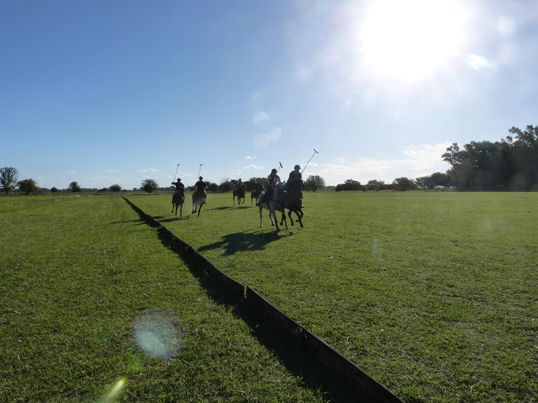 Polo in Buenos Aires景点图片