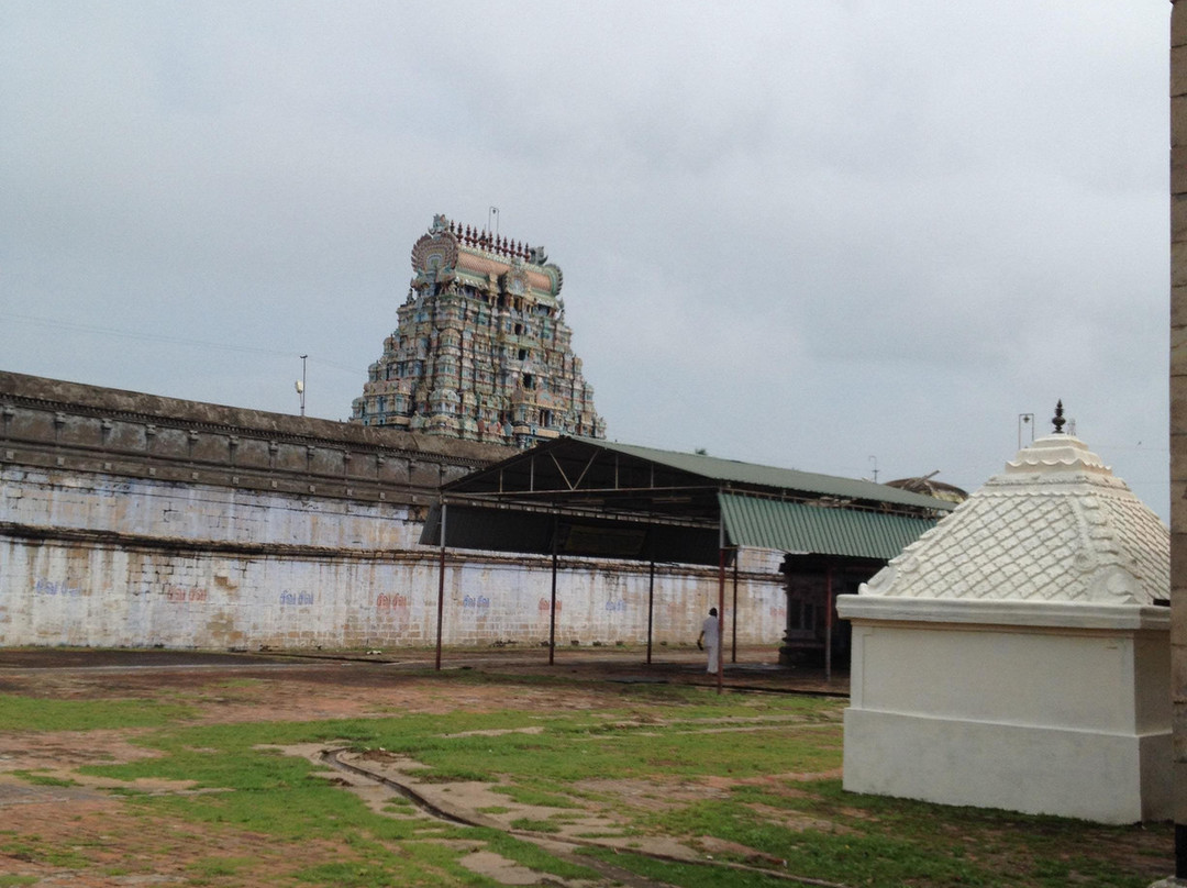 Thyagarajaswamy Temple景点图片