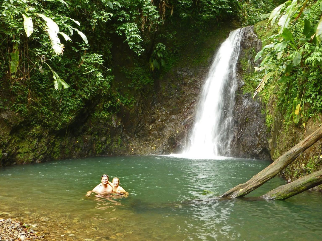 Seven Sisters Waterfalls Grenada-Grand Etang National Park必去景点