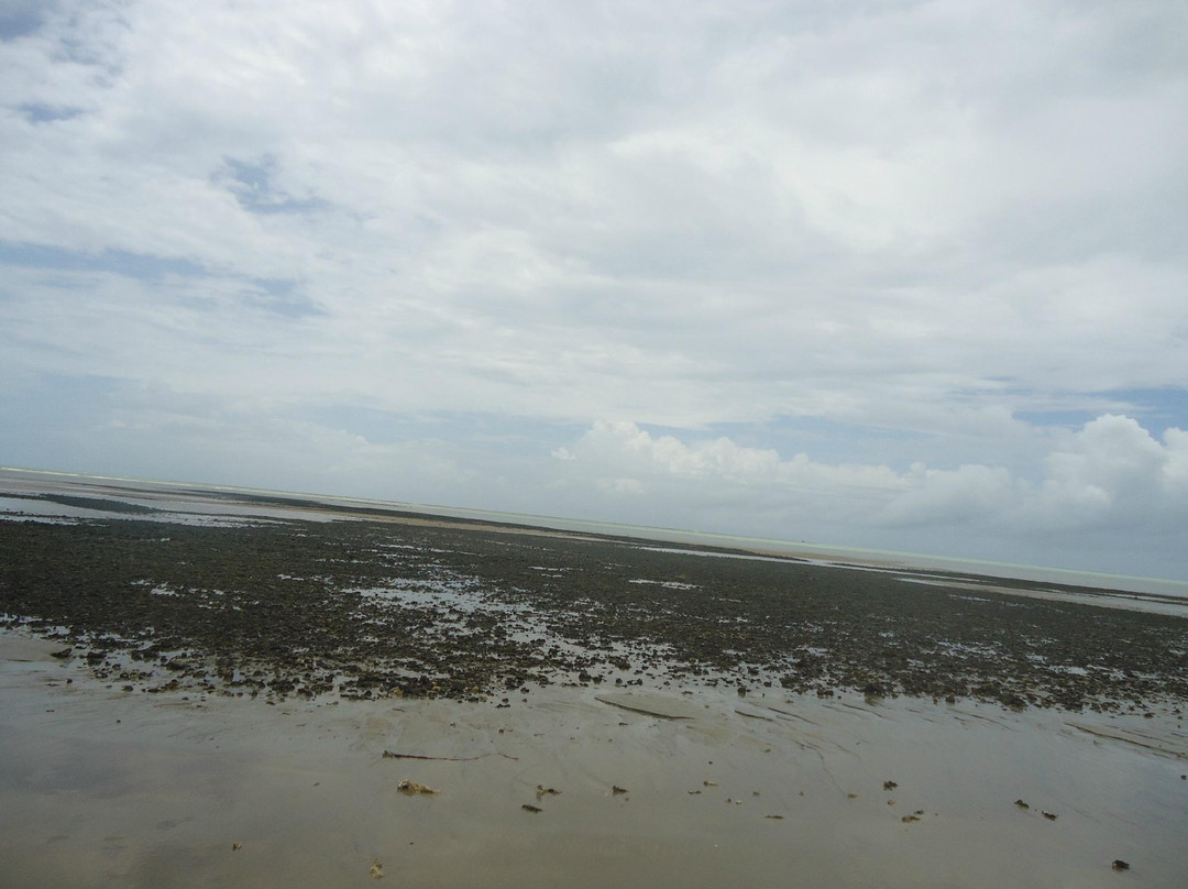 Rio do Peixe Beach-Cumuruxatiba必去景点