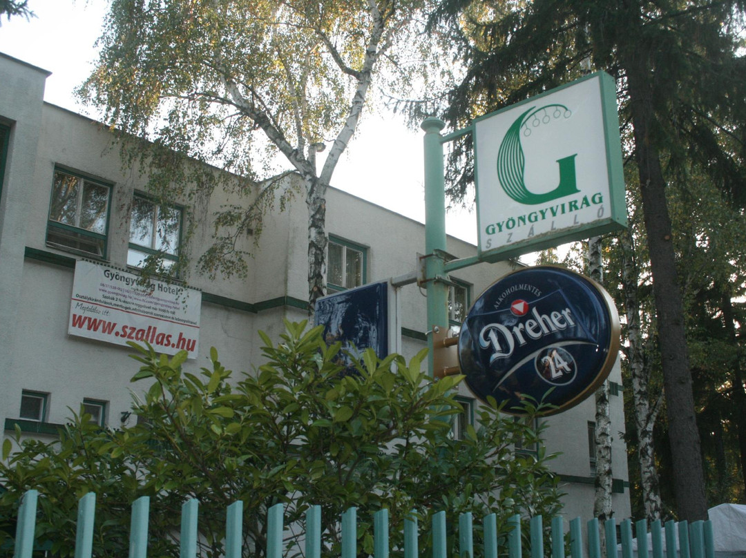 Hotel Gyongyvirag主图