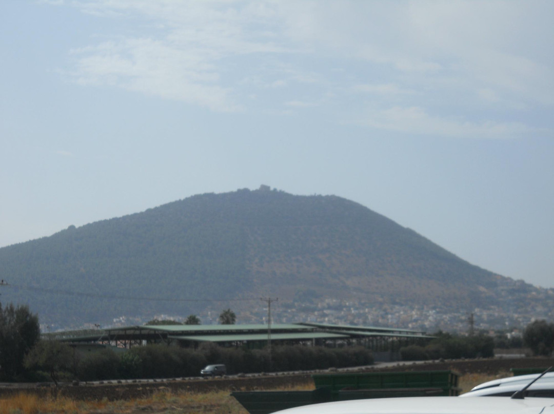 Tabor Winery-Kfar Tavor必去景点