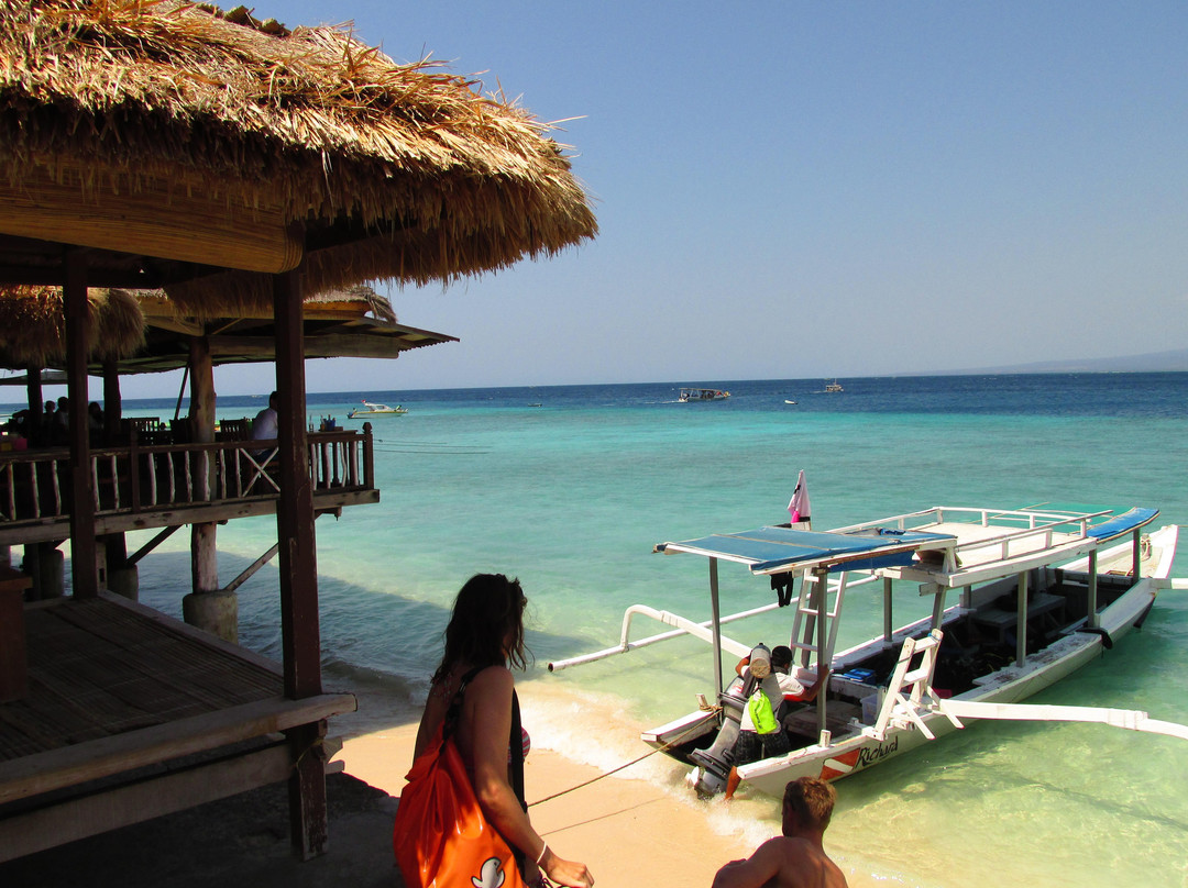 Dolphin Dive School-Senggigi必去景点