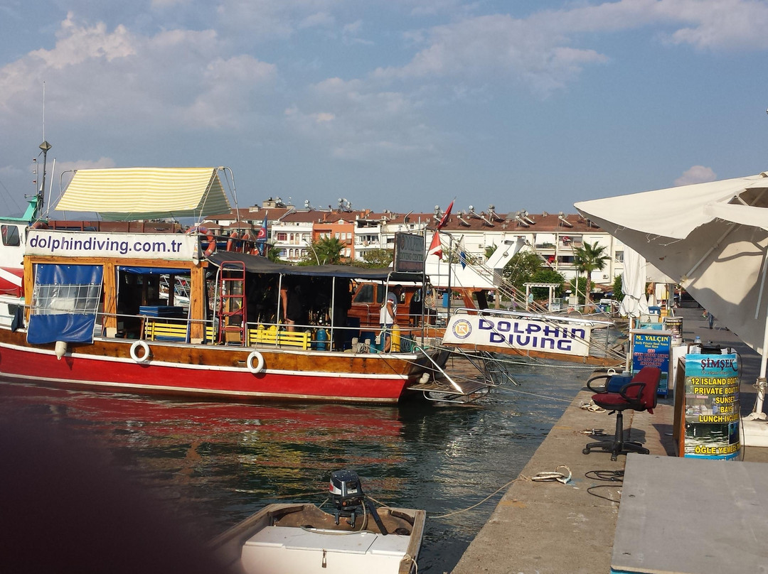Dolphin Diving Centre景点图片