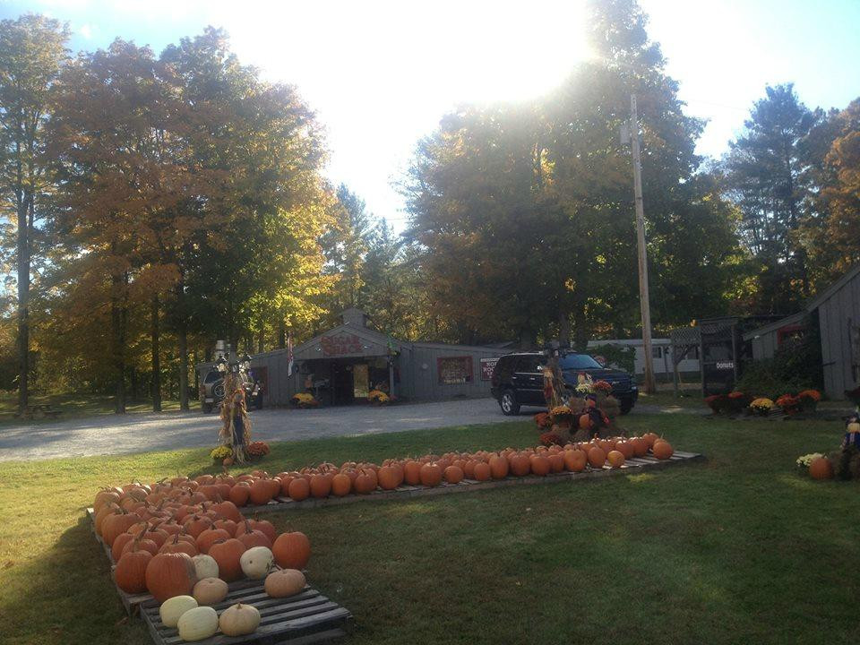 Norman Rockwell Exhibition-Arlington必去景点