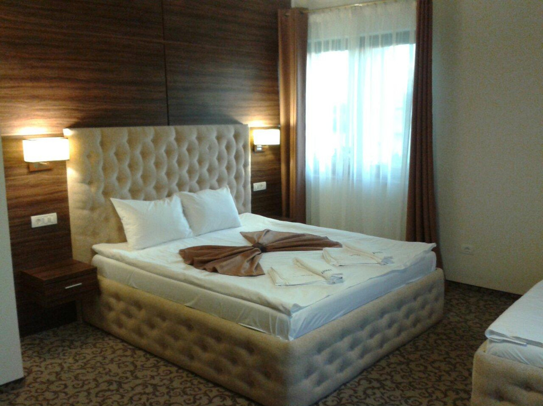 Vintu de Jos酒店住宿-Allegria Hotel