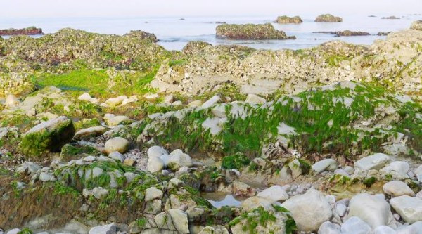 望夫礁公园-长岛县必去景点