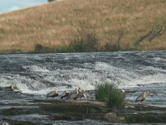 Lajeado Da Margarida-Cambará do Sul必去景点