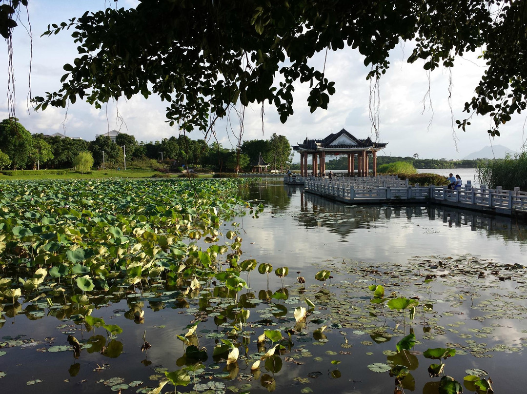 松山湖公园-东莞市必去景点