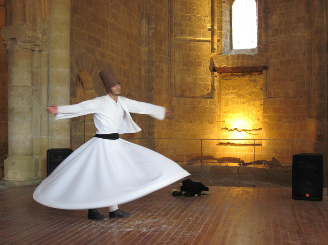 Whirling Dervish Performance Nicosia-尼科西亚必去景点