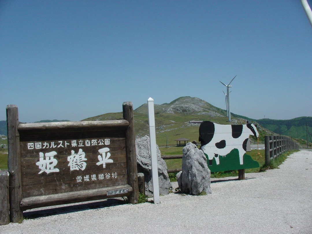 Shikoku Karst Onogahara-西予市必去景点