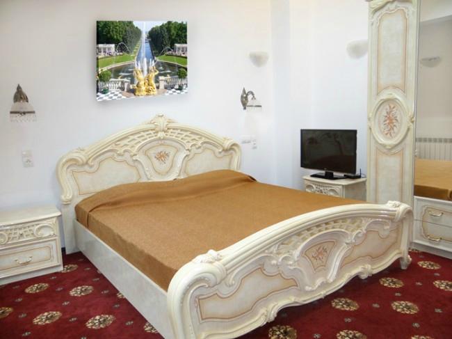 Master Hotel Petrodvorets-客卧