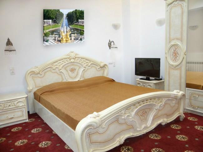 Master Hotel Petrodvorets主图