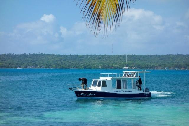 San Andres Unlimited (Miss Behave Glass Bottom Boats)景点图片