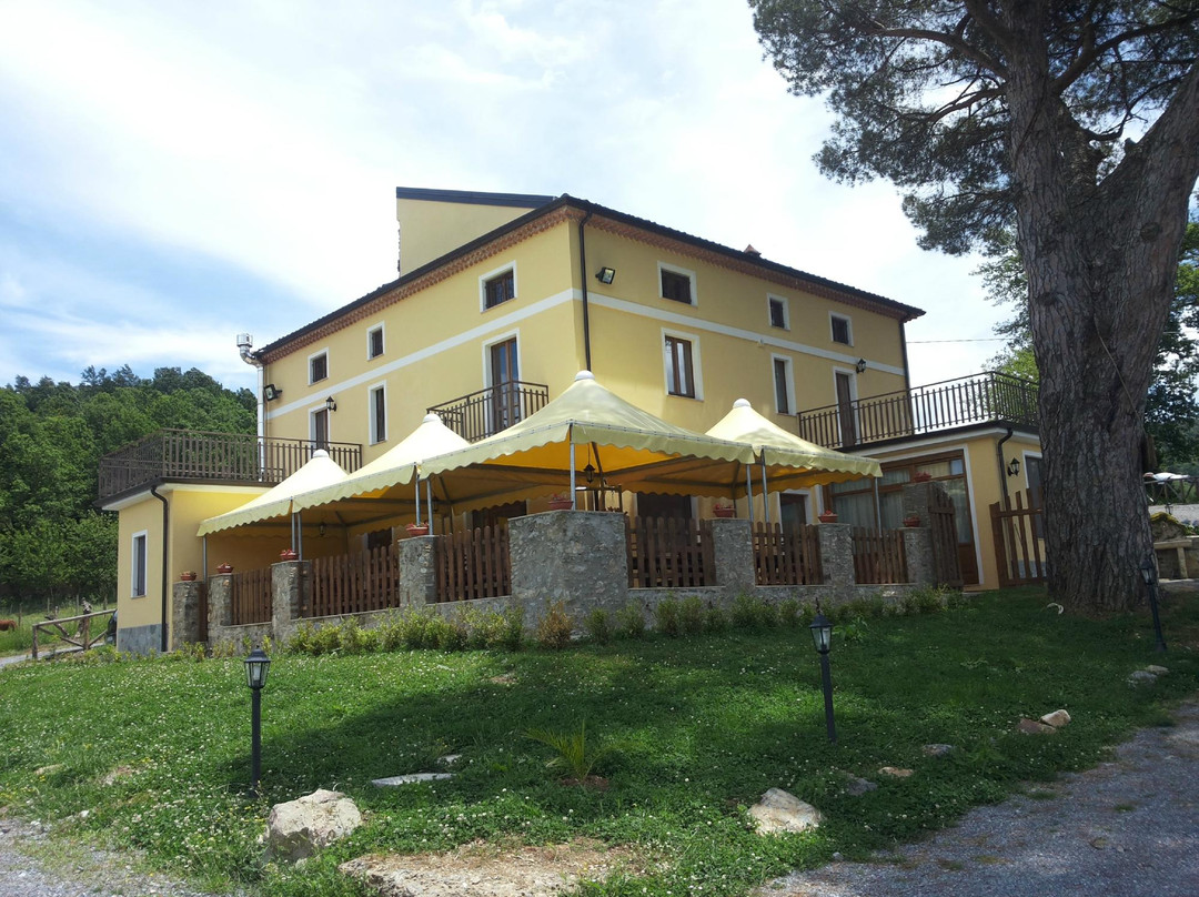 La quiete del vecchio pino