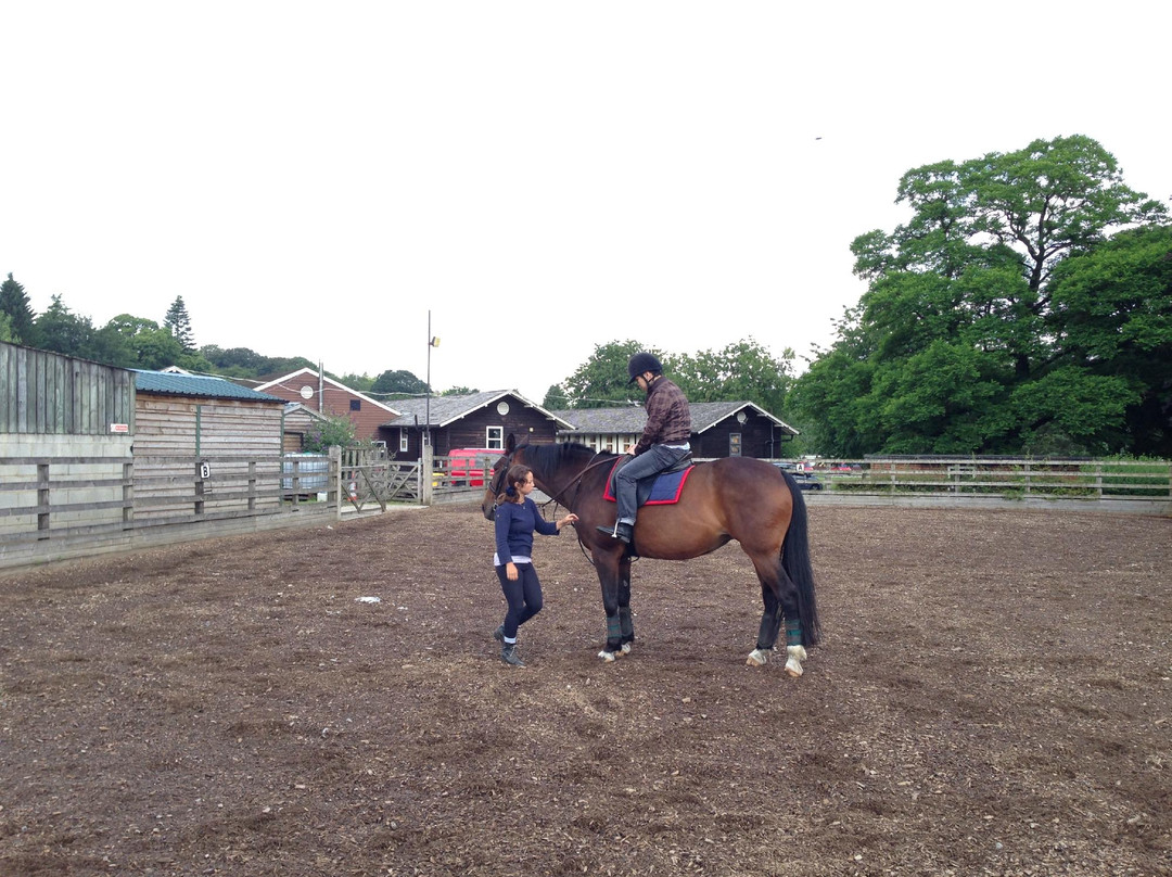 Bewerley Riding Centre景点图片