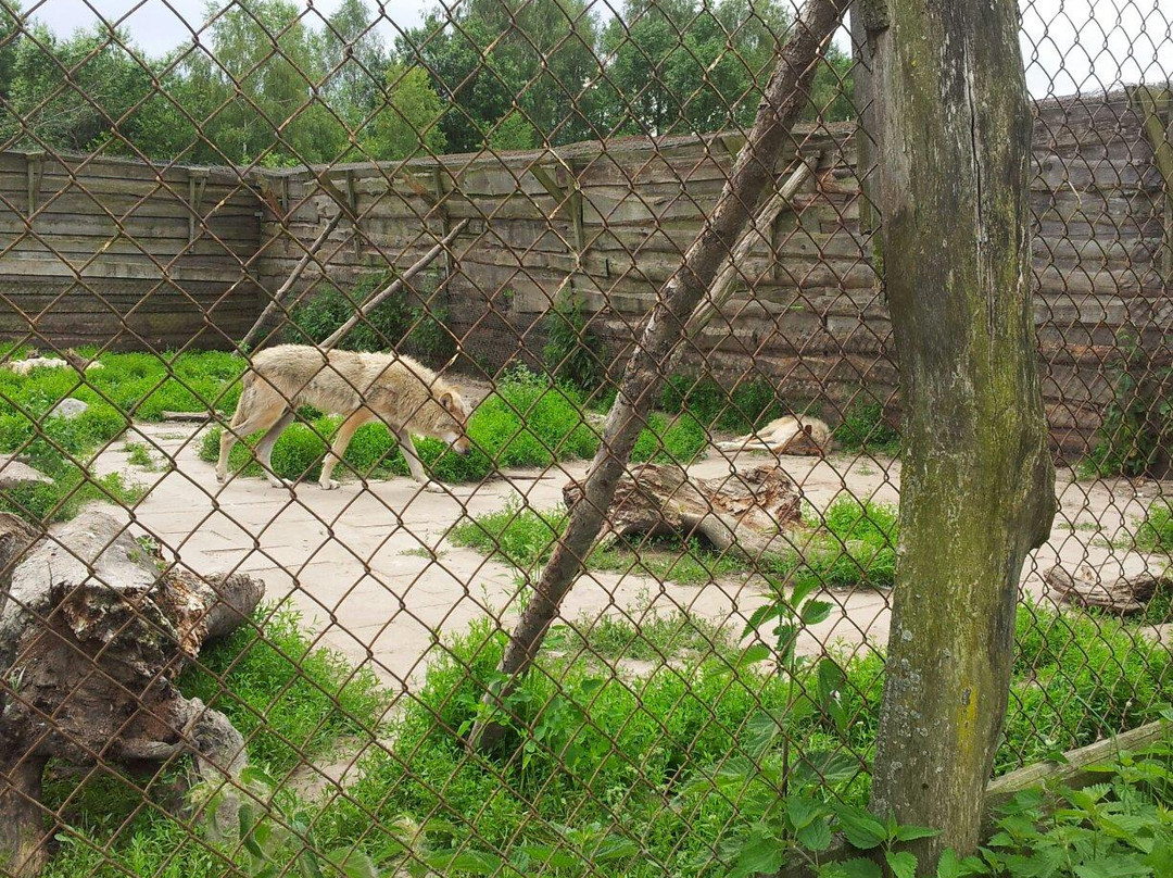 Mini Zoo-Jonusai必去景点