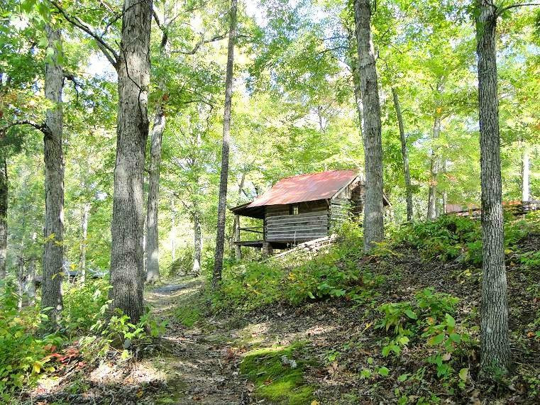 Ole Gilliam Mill Park景点图片