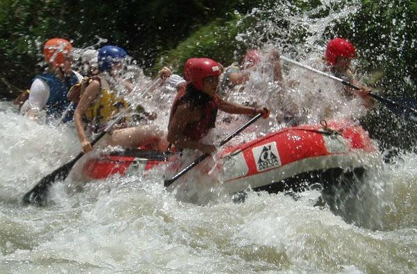 Sumatra Jungle Tours-武吉拉旺必去景点