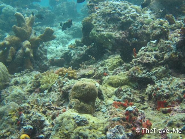 仙本那国家公园-仙本那必去景点