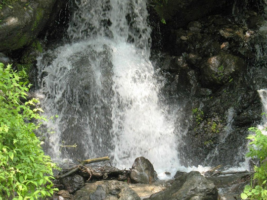 Hikawa Kokusai Masu Fishing Site-奥多摩町必去景点