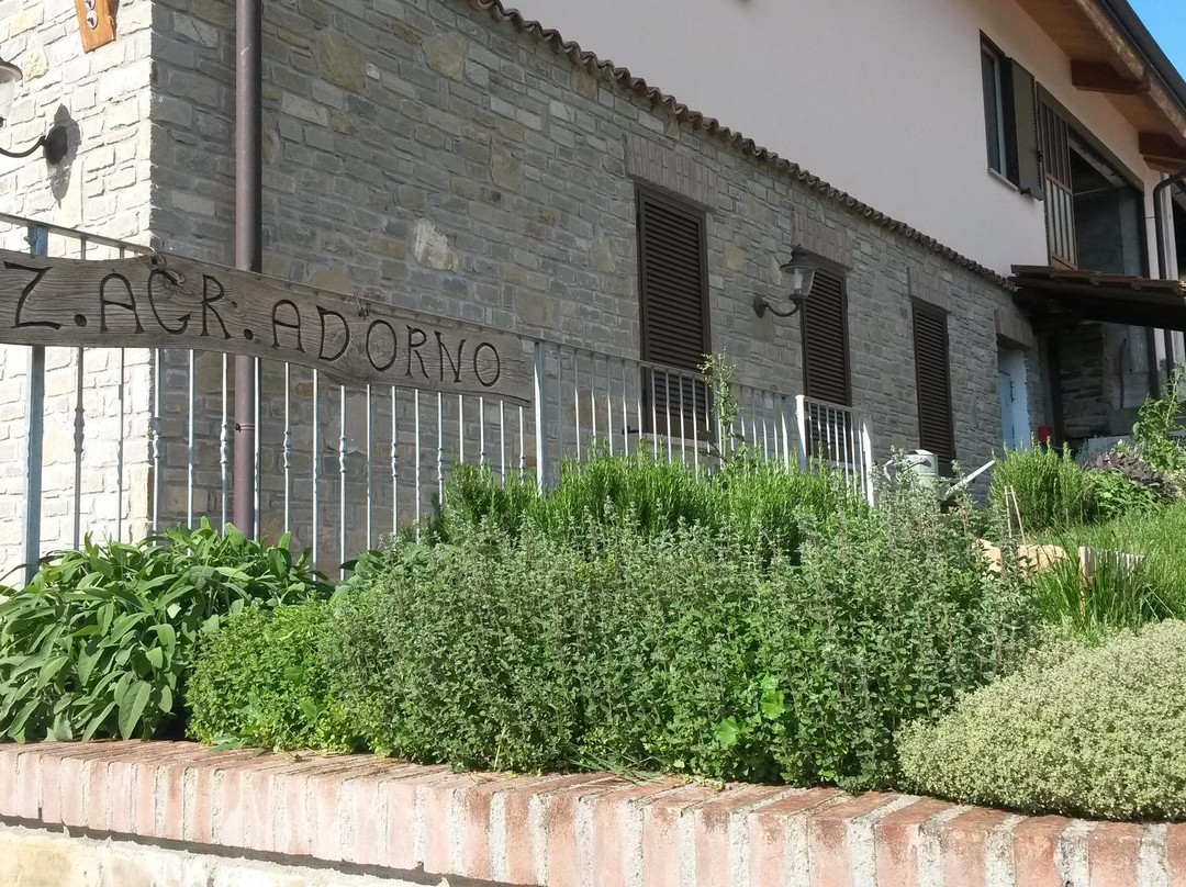Cascina Agriturismo Adorno