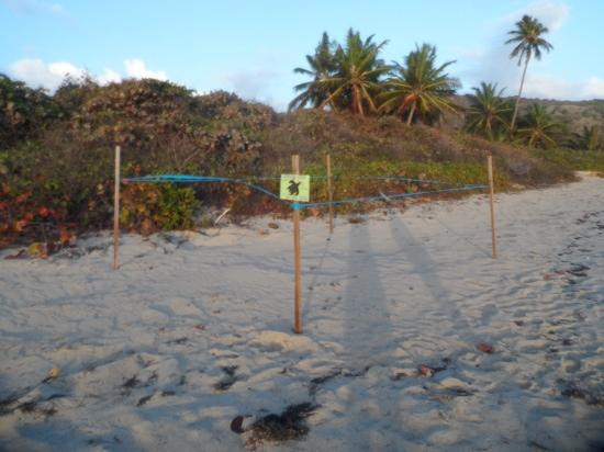 Playa Zoni-库莱布拉岛必去景点