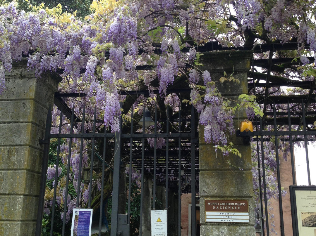 Museo Nazionale Paleocristiano景点图片