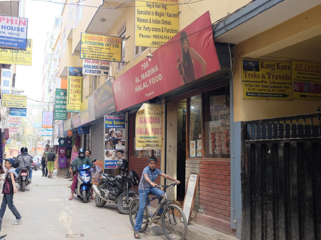 Al Madina Halal Foods