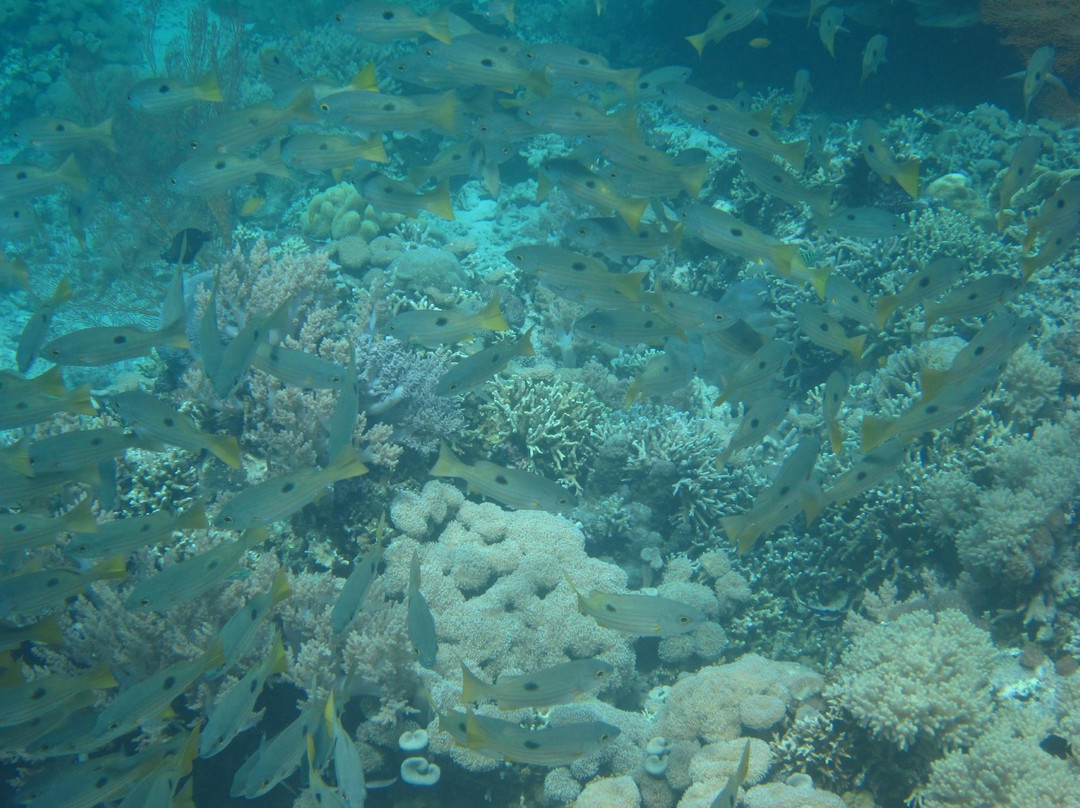 孟赞干岛-佩母德兰必去景点